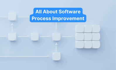 Improving Development Efficiency with Software Process Improvement