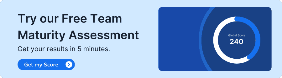 Team maturity assessment
