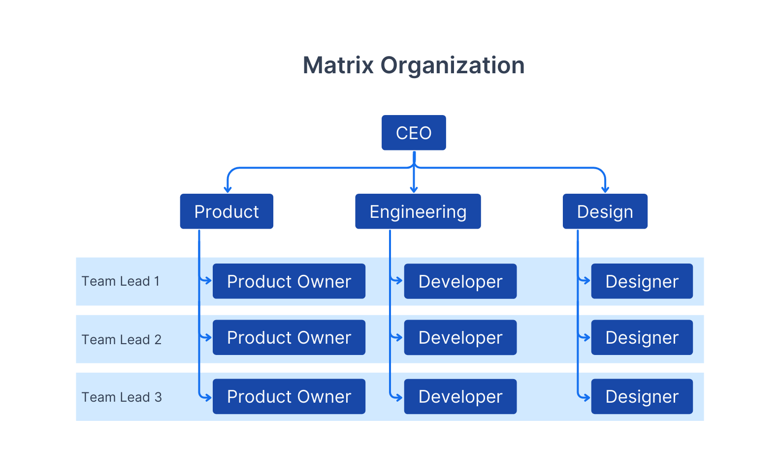 Matrix Organization structure diagram