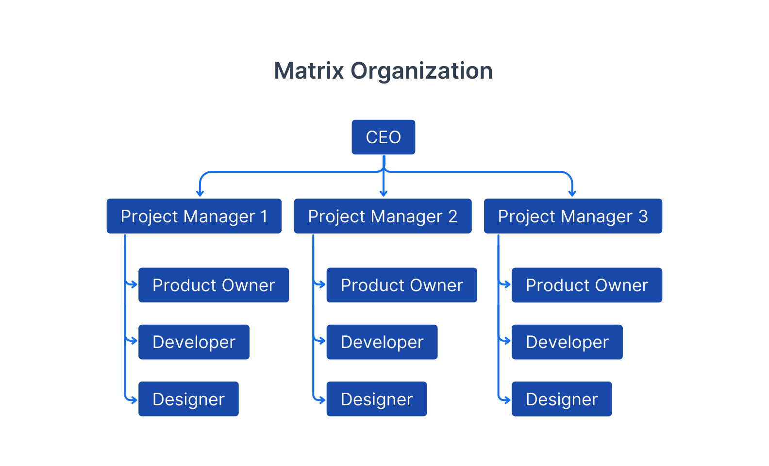 Project-Based Teams structure diagram_1