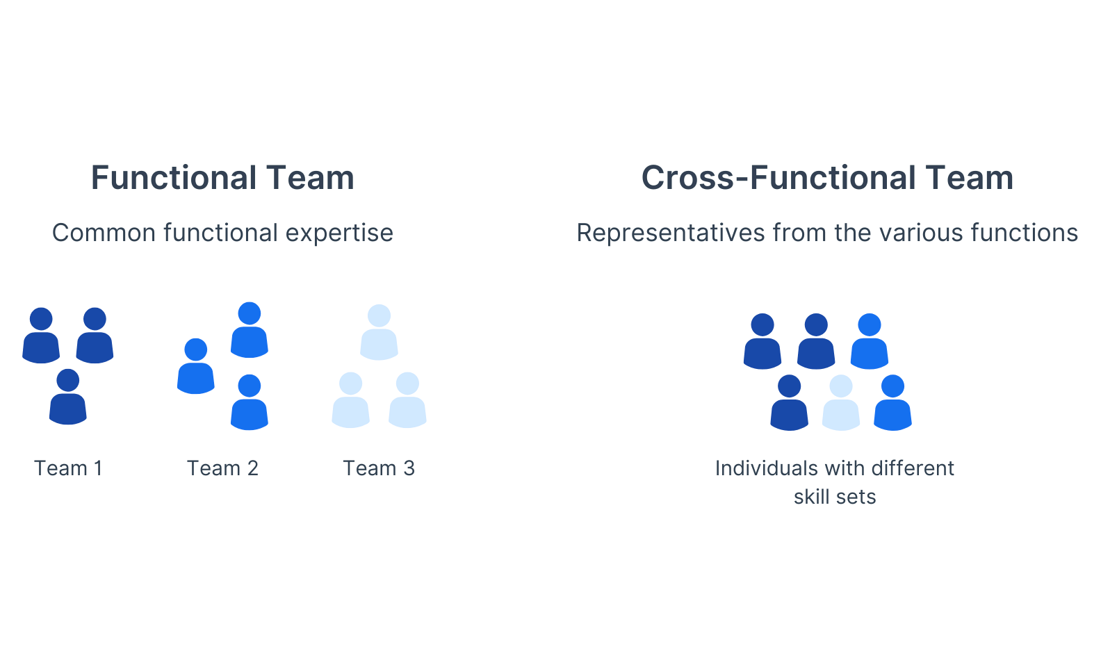 Technology-Based Teams (Functional Model) structure diagram_1